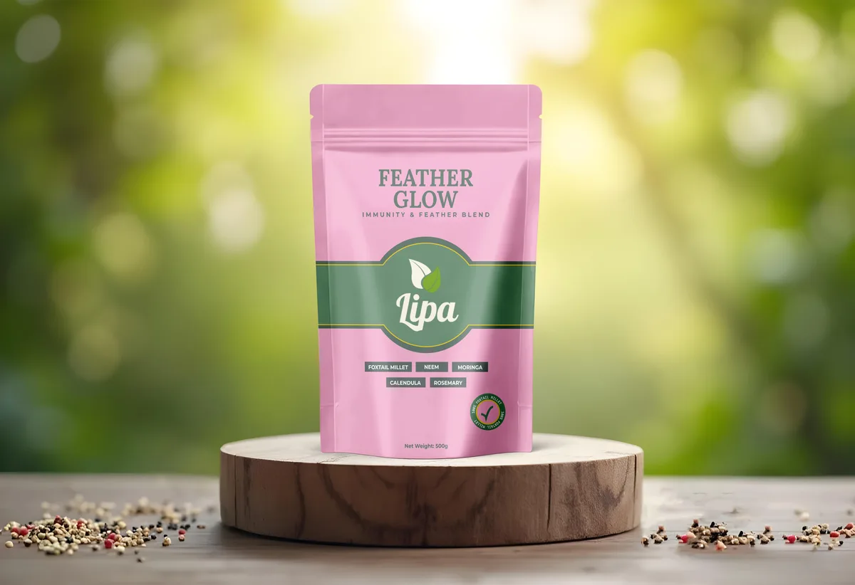Lipa